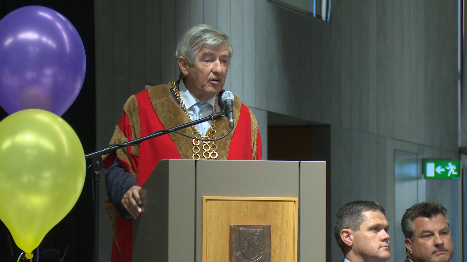 You are currently viewing Civic reception for Wexford 1968 hurling heroes