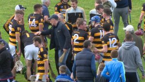 Read more about the article Video Highlights- Rathnure v Oulart-The Ballagh