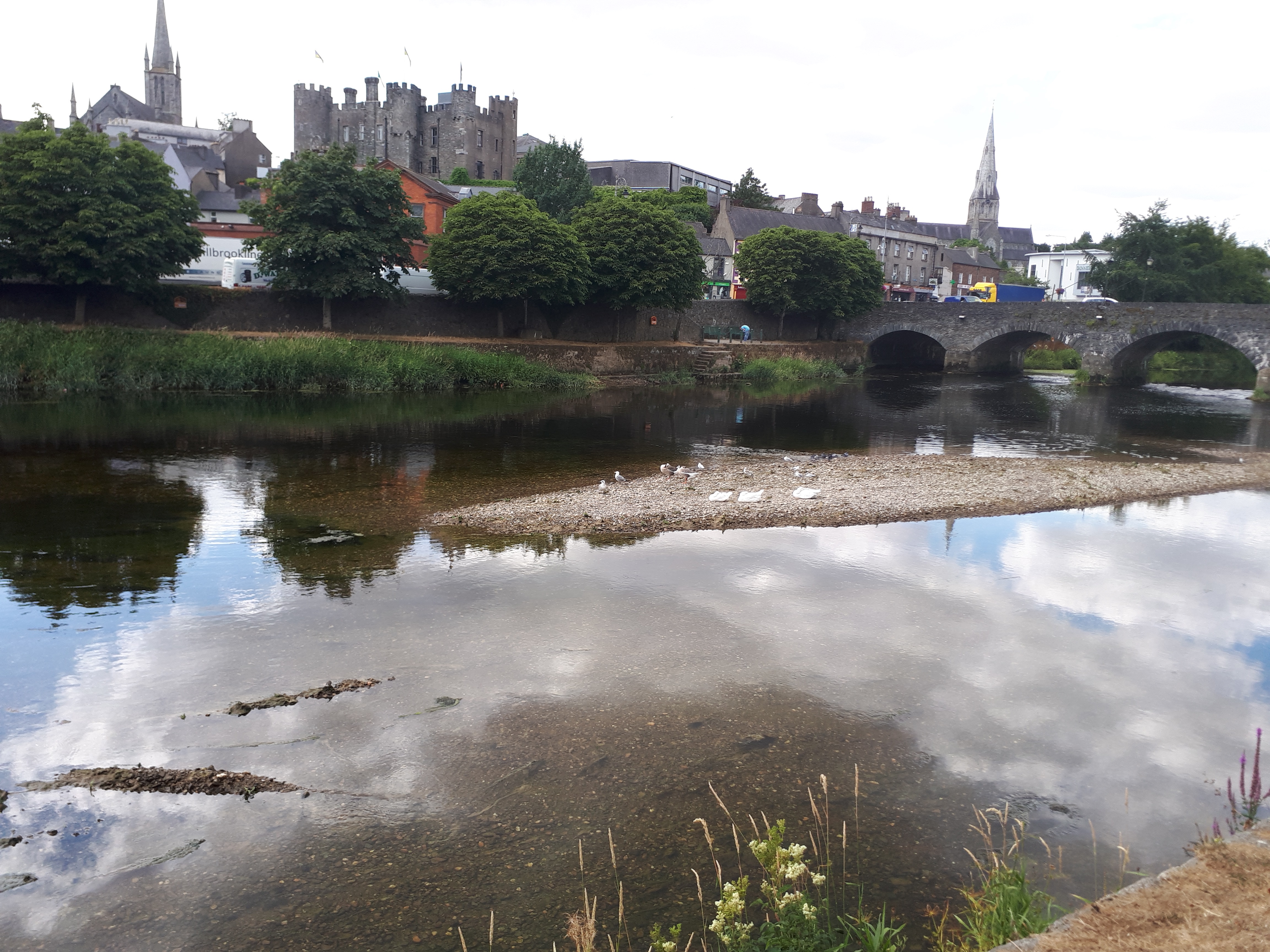 Read more about the article Air pollution in Enniscorthy 10 times over EU limit