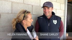 Read more about the article Video Preview – Helen Fanning and Shane Carley
