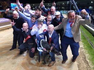 Read more about the article Cleary’s Ballyanne Sim wins the Irish Derby