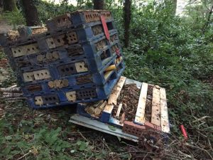 Read more about the article Monageer Grotto restored followed vandalism