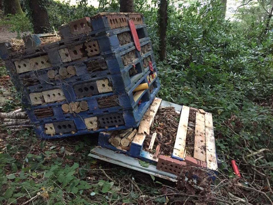 Read more about the article Monageer Grotto restored followed vandalism