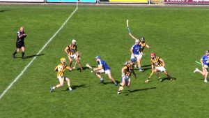 Read more about the article Video Highlights – Oylegate Glenbrien v Shelmaliers