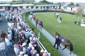 Read more about the article Extra race added to Wexford on Saturday