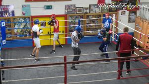 Read more about the article International Boxing Tournament For Wexford