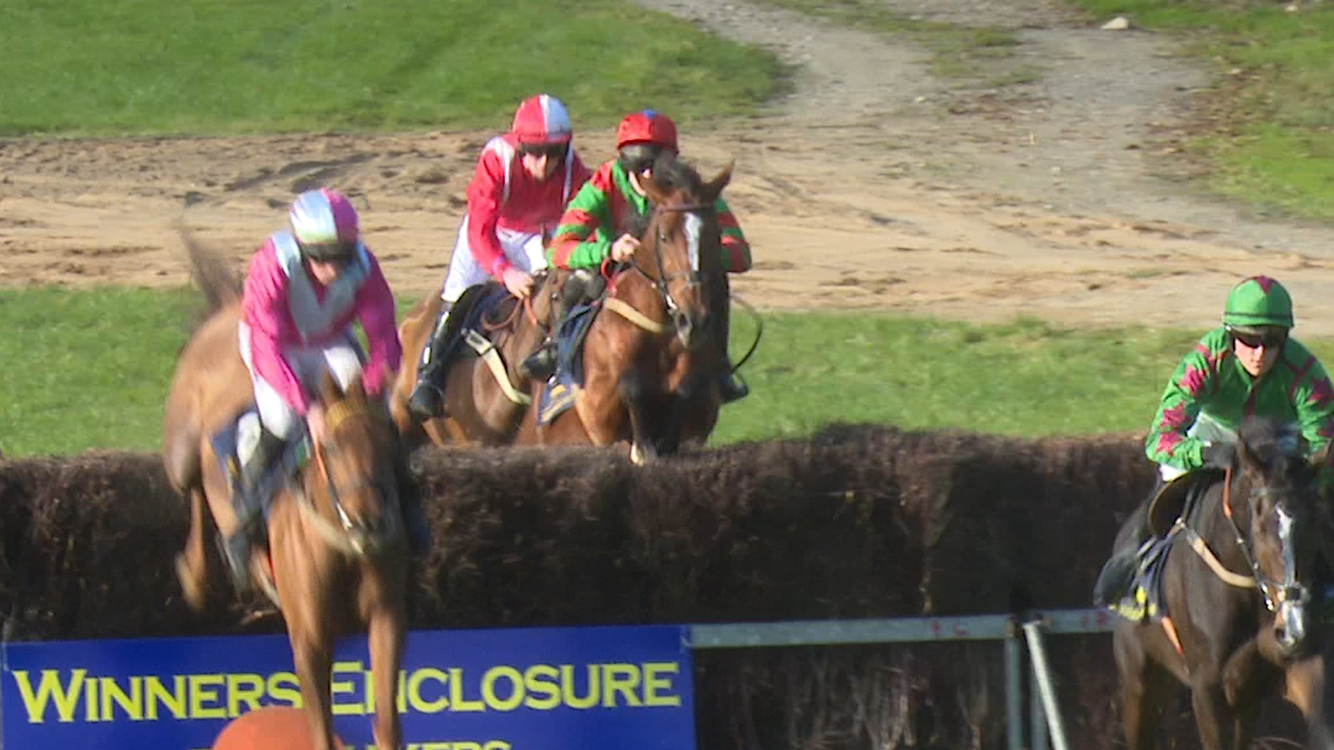 You are currently viewing Local handlers sold at Doncaster today