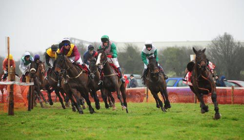 Read more about the article Wexford point-to-point wins in atrocious weather