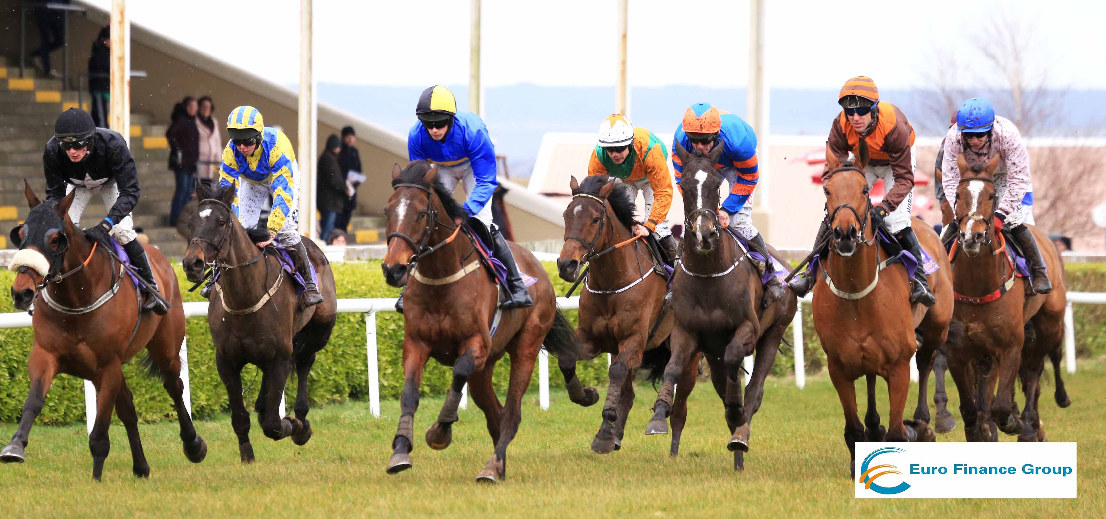 Read more about the article Eight races on Sunday’s Bettyville Park card