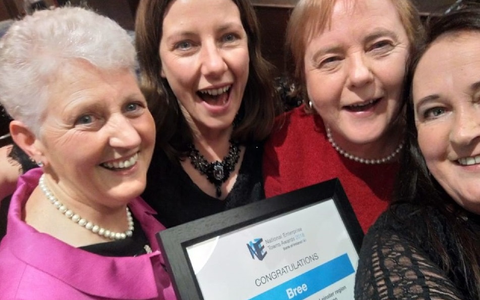 You are currently viewing Bree runners-up in Leinster Enterprise Awards