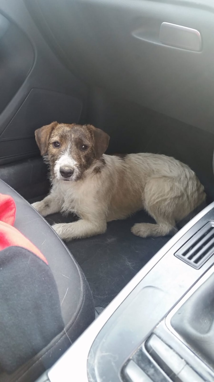 You are currently viewing Riley returns to The Ballagh with a tale to tell!