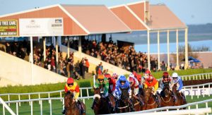 Read more about the article Support your local racecourse – AGM on Friday night