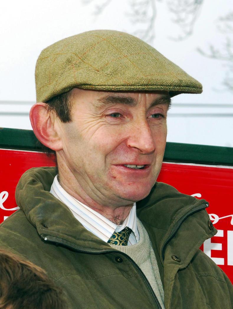 Read more about the article Denis Hickey flys a winning Wexford flag