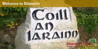 Read more about the article Six schools included in Summer Works Scheme