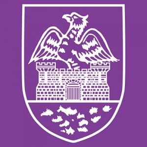 Read more about the article Hockey- Enniscorthy L2 win at UCD