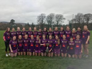 Read more about the article Camogie- Loreto Wexford win Leinster final