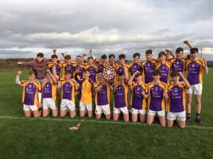 Read more about the article Wexford CBS win South Leinster Final