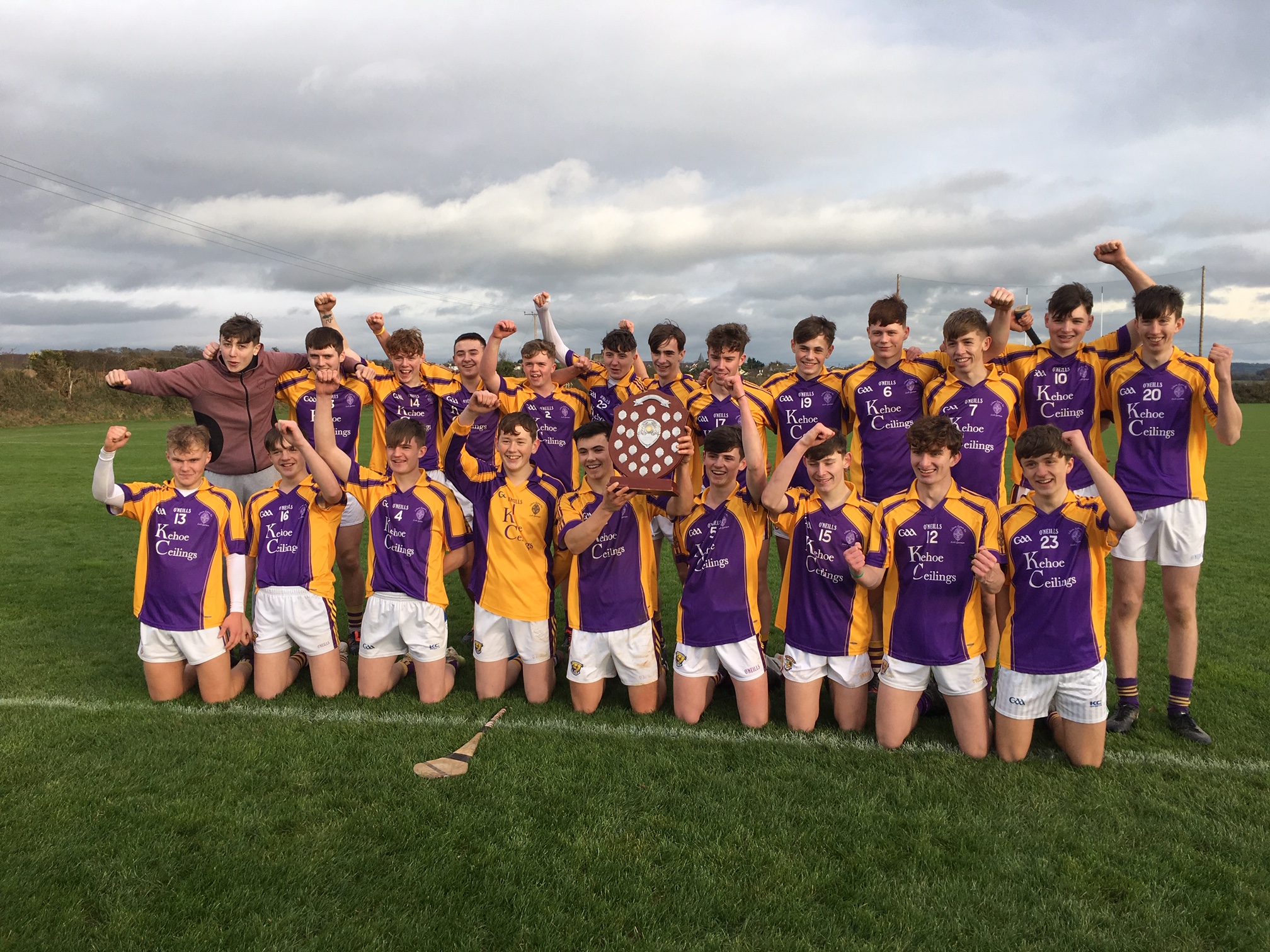 Read more about the article Wexford CBS win South Leinster Final