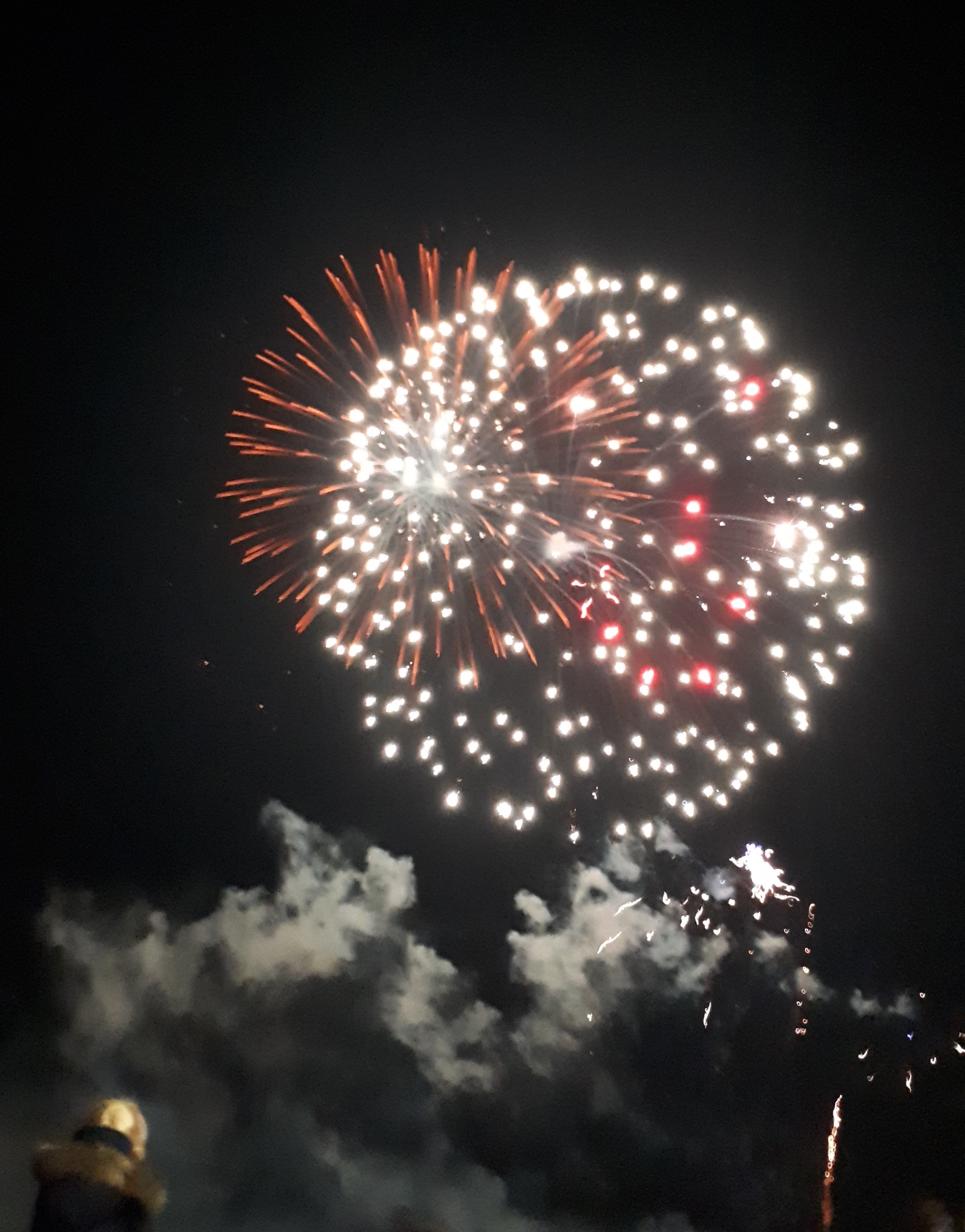 Read more about the article €100,000 allocated to Wexford Festival Opera