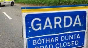 Read more about the article 16 years old dies in road tragedy near Mount Leinster