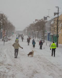 Read more about the article Wexford’s guide to emergency survival