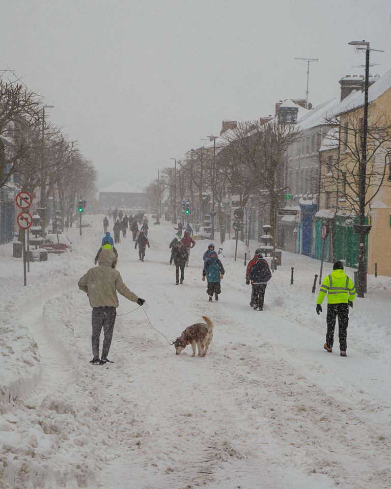 Read more about the article Wexford’s guide to emergency survival