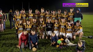 Read more about the article Highlights – Jim Byrne Cup Final