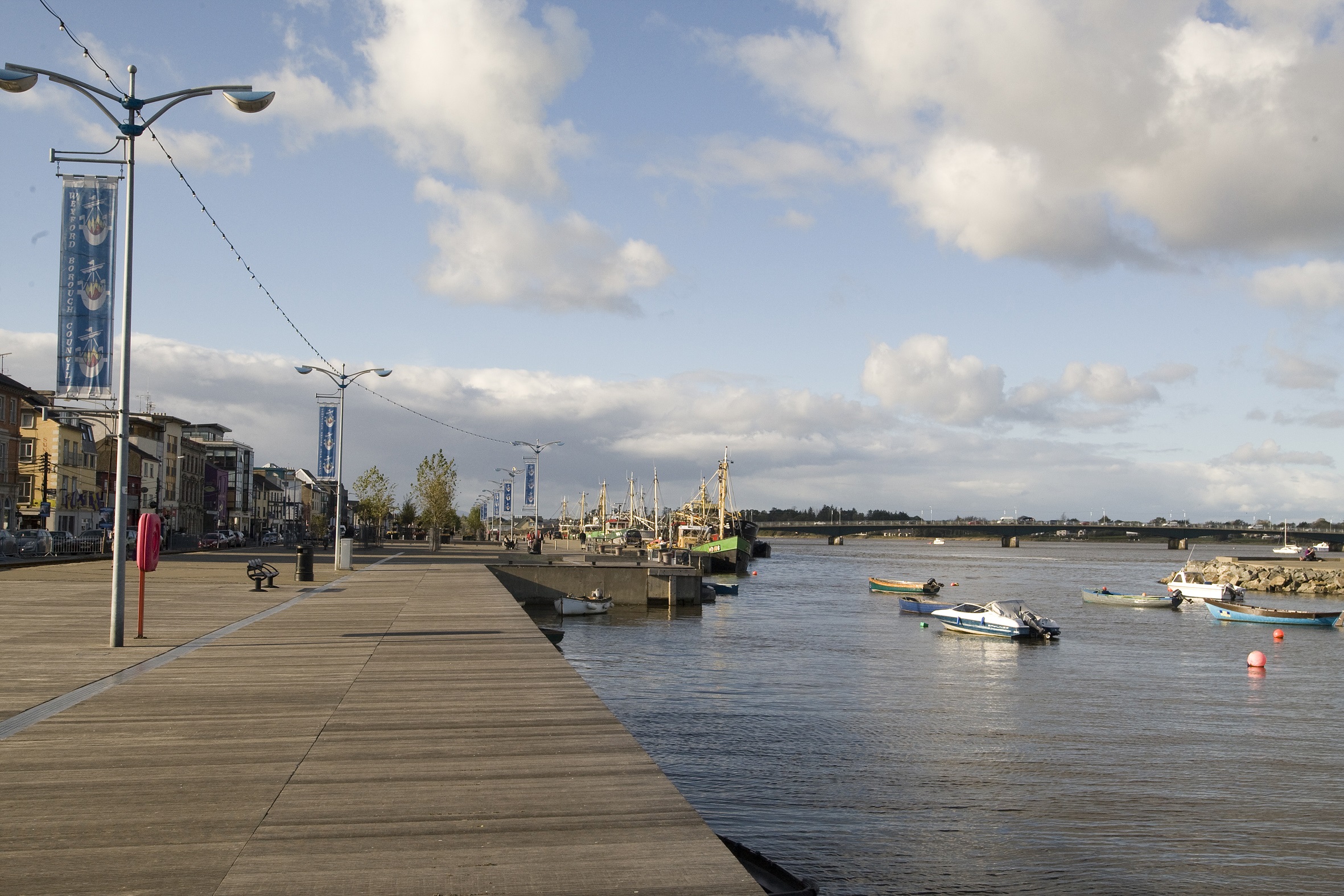 Read more about the article Ryan slams plan to retain Wexford District 10-seats