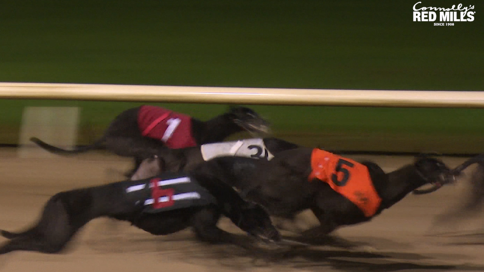 Read more about the article Greyhound Racing- Shes Ordinary Qualifies for Newbridge Final