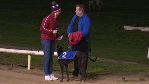 Read more about the article Greyhound Racing- Shes Ordinary collects at Newbridge