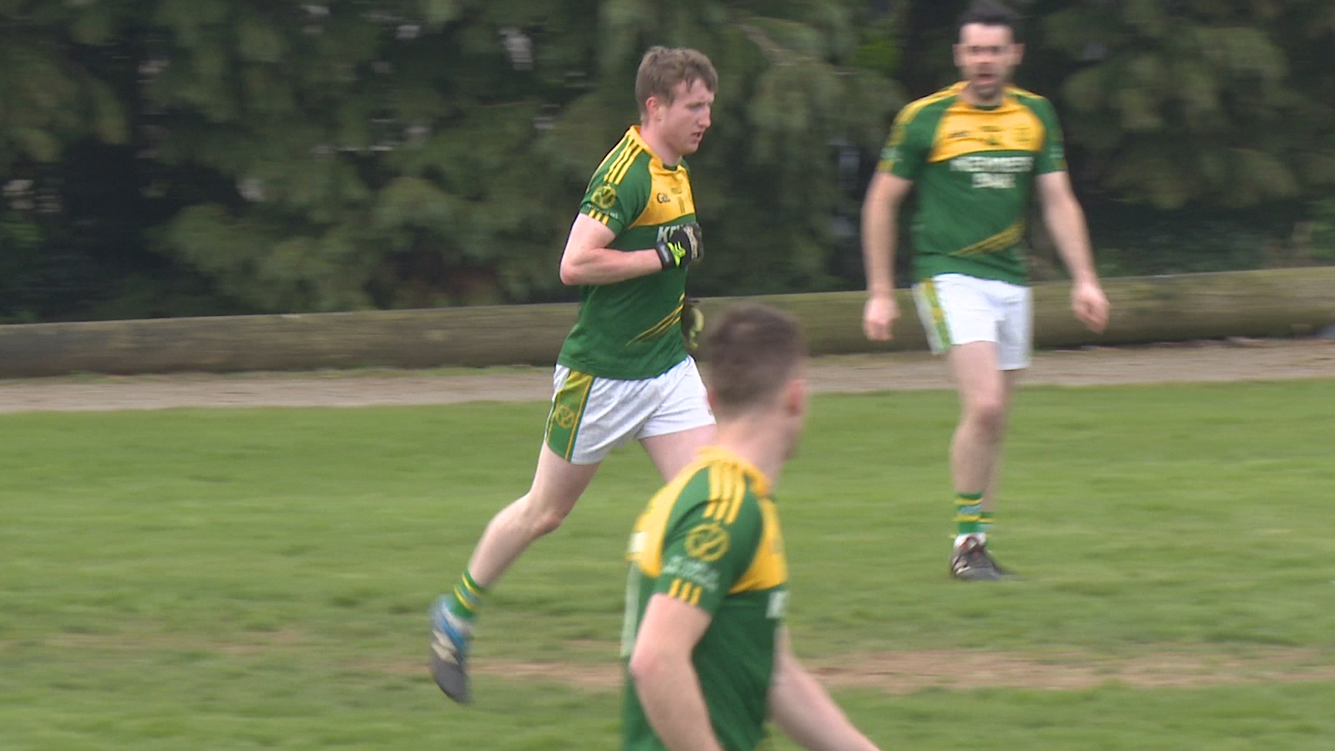 Read more about the article Bunclody take a walk in the park