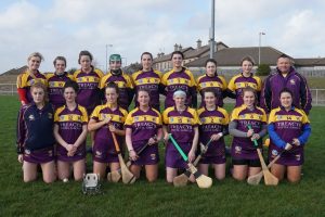 Read more about the article Camogie- Wexford face Offaly on Saturday