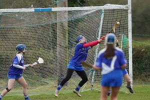 Read more about the article Camogie- Craanford get the better of Oylegate