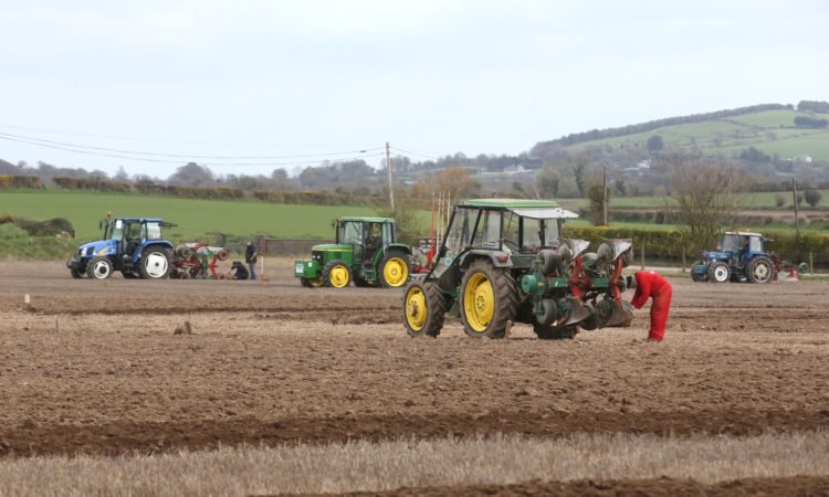 Read more about the article Turning the sod for Europe at Ballinaboola