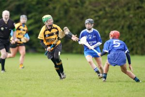 Read more about the article Camogie- Rathnure beat Thomastown to set up all Wexford final