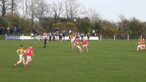 Read more about the article Highlights – Shelmaliers vs St. Mogue’s Fethard