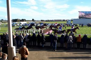 Read more about the article Quality card for Wednesday races at Wexford