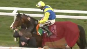 Read more about the article JJ Slevin registers his second Cheltenham success