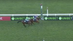 Read more about the article Jamie Codd beats Barry O’Neill in Cheltenham thriller