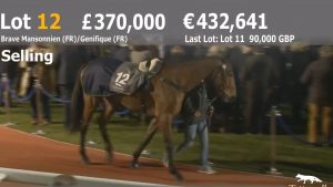 Read more about the article Killinick winner sold for £370,000 at Cheltenham this evening