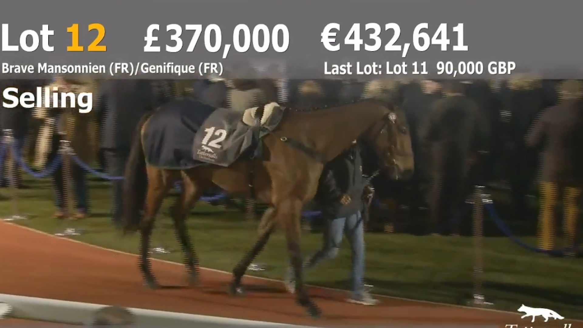 Read more about the article Killinick winner sold for £370,000 at Cheltenham this evening