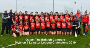 Read more about the article Oulart lay down a marker as they win Leinster league