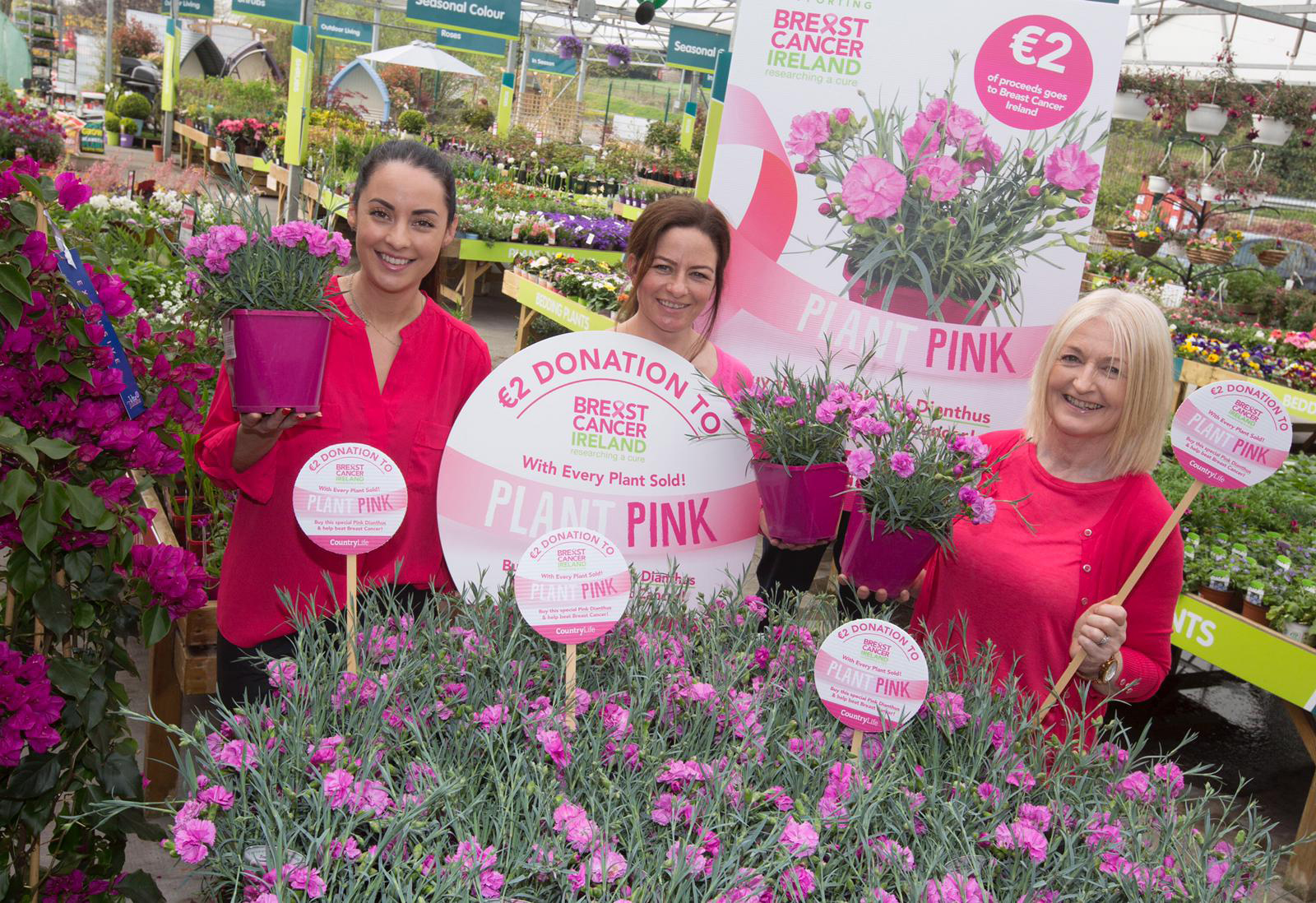 You are currently viewing Wexford gardeners to Plant Pink for Breast Cancer