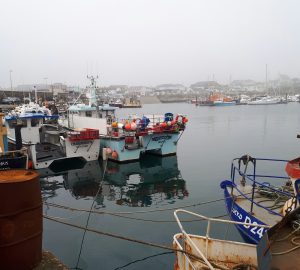 Read more about the article Jeep located in the sea off Kilmore Quay