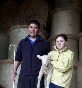 Read more about the article Lost lamb reunited with his friendly flock