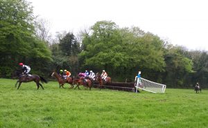 Read more about the article Champions on top at busy Monksgrange races