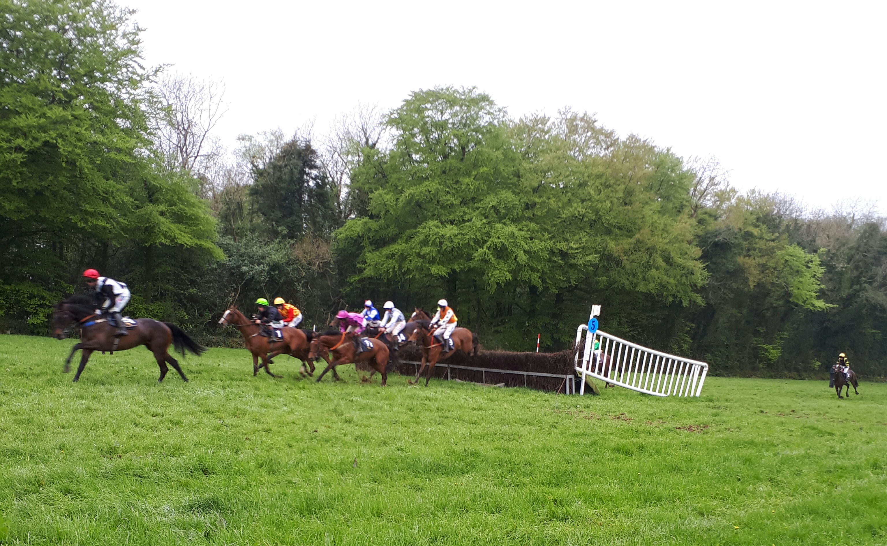 Read more about the article Champions on top at busy Monksgrange races