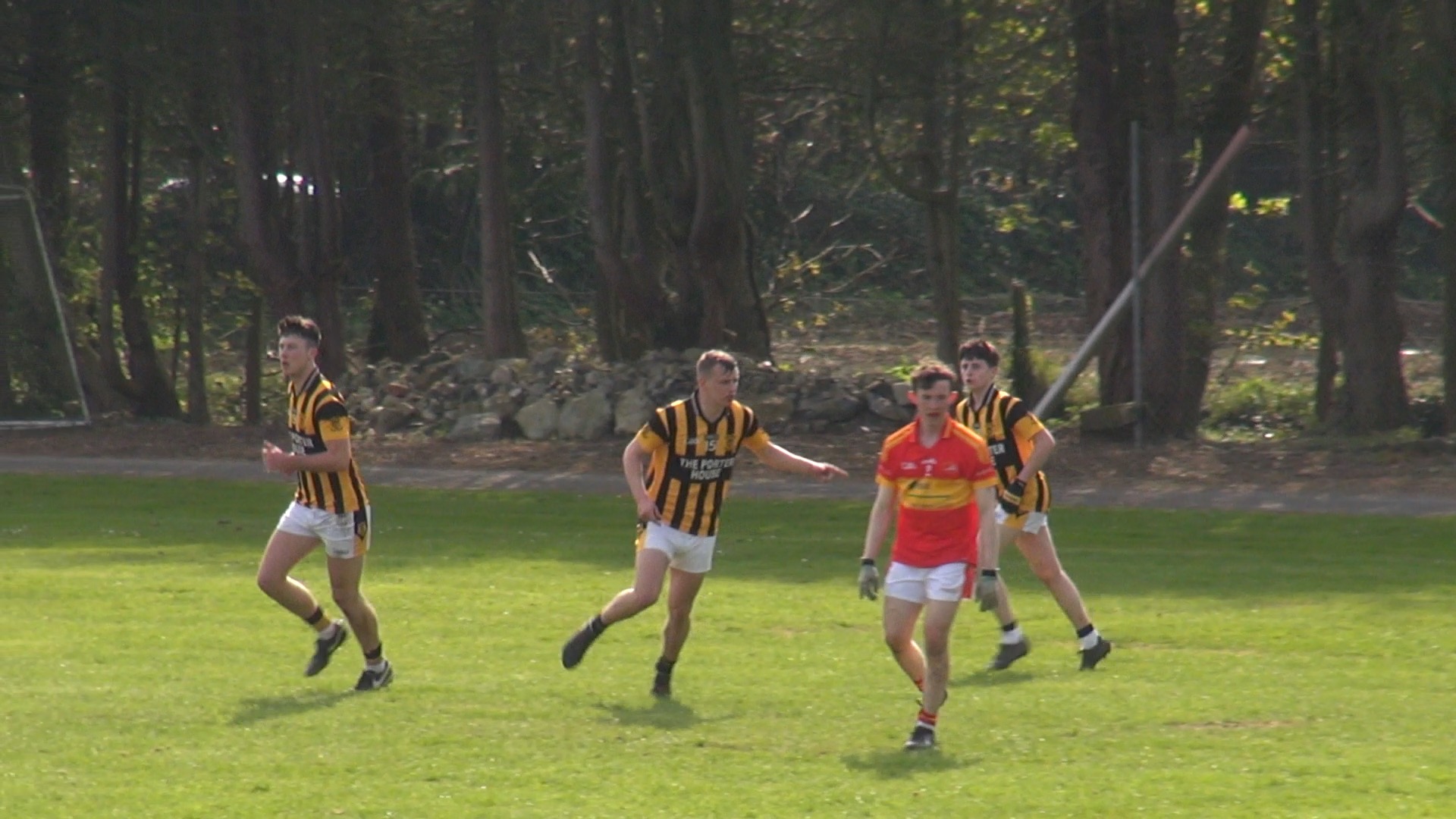 Read more about the article Highlights – Shelmaliers vs Horeswood