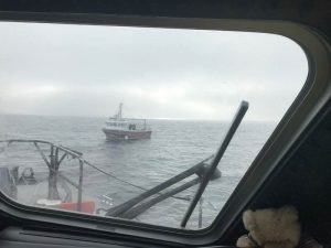 Read more about the article 275kms of Wexford coastline to enjoy…please stay safe!