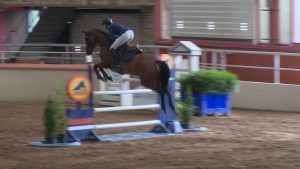 Read more about the article Catriona wins 5yo championship at Cavan